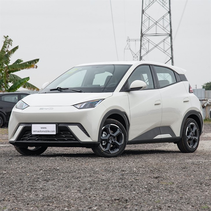 2024 BYD Seagull Mini Ev