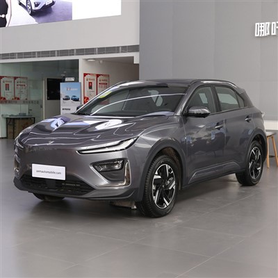 2024 ネタ U MAX スマート電気SUV